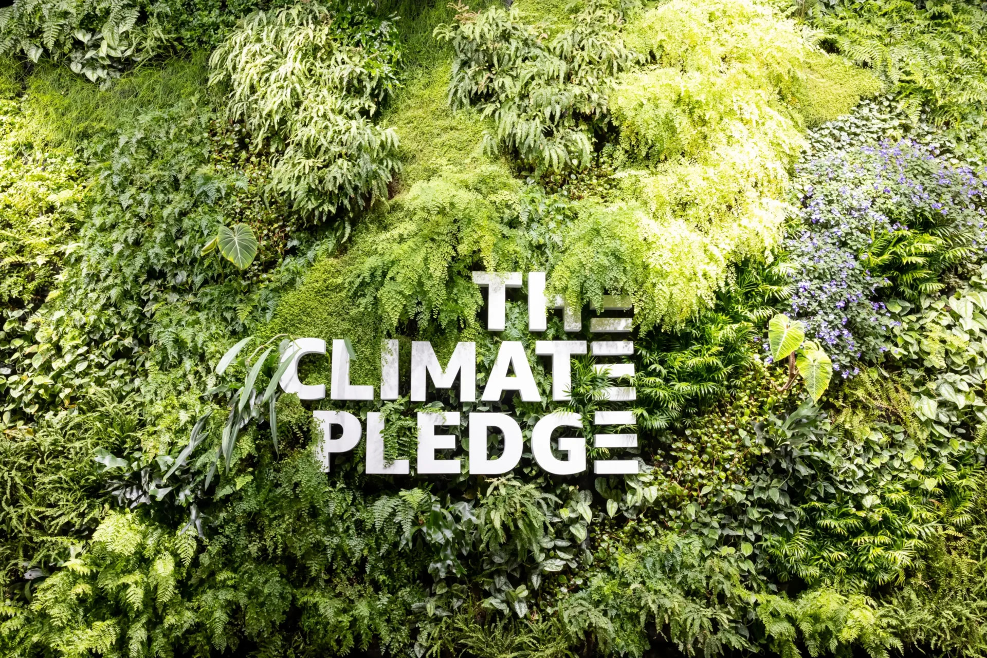 Climate Pledge Arena