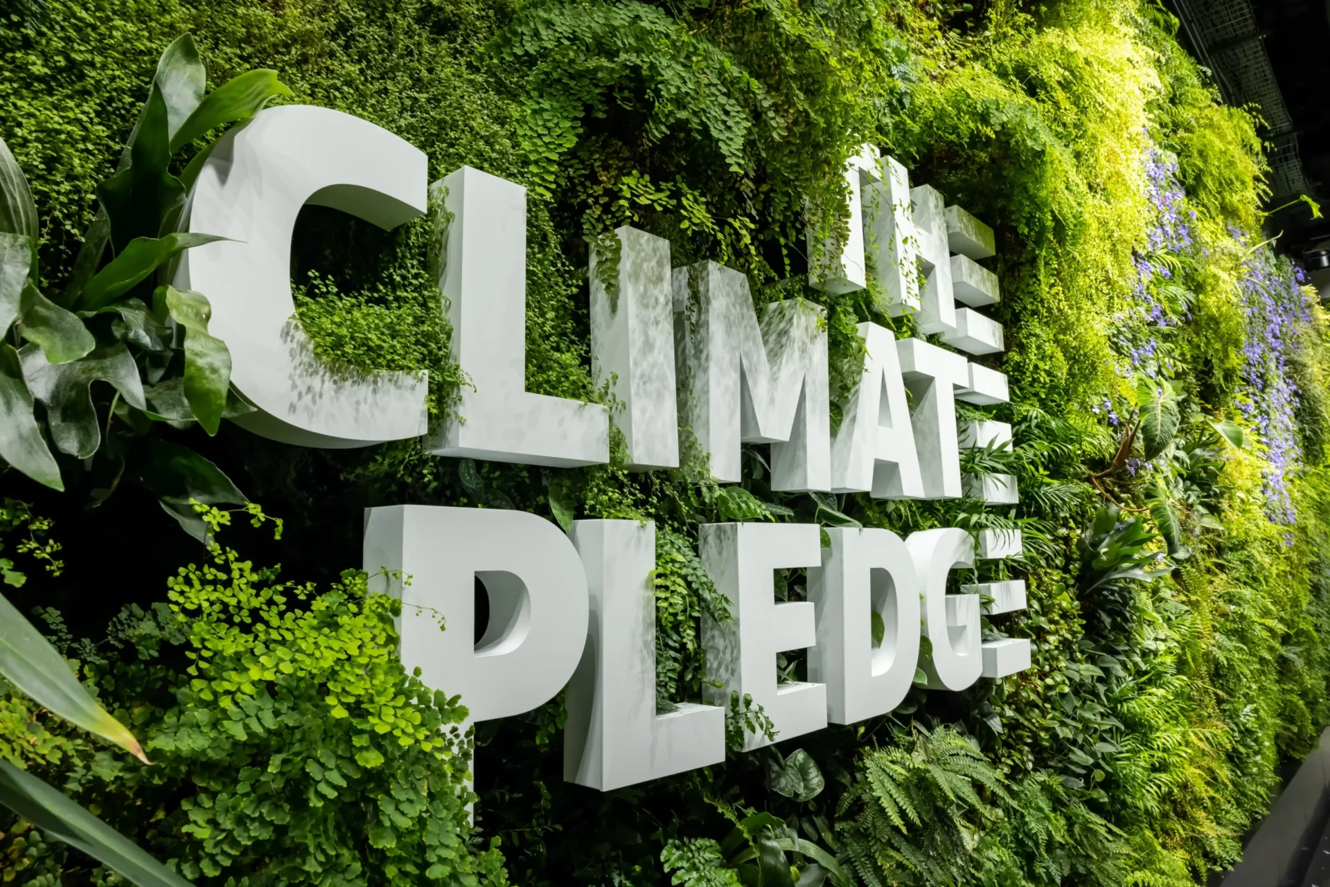 Living wall at Climate Pledge Arena