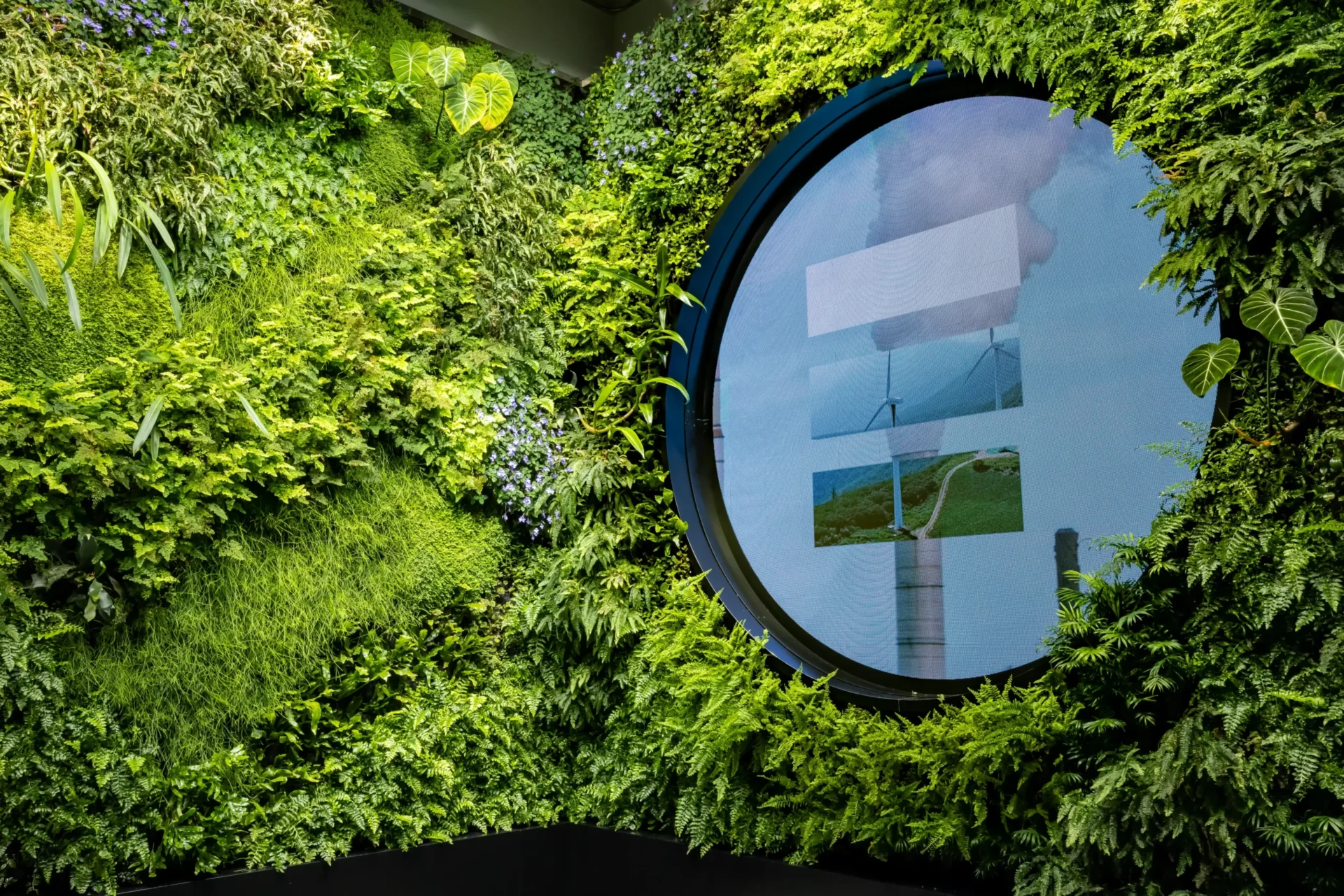 Living wall at Climate Pledge Arena