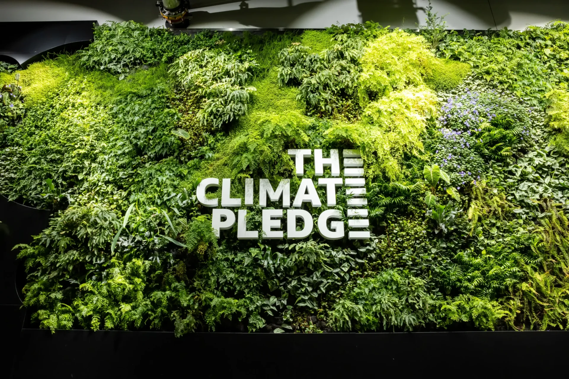 Living Wall at Climate Pledge Arena